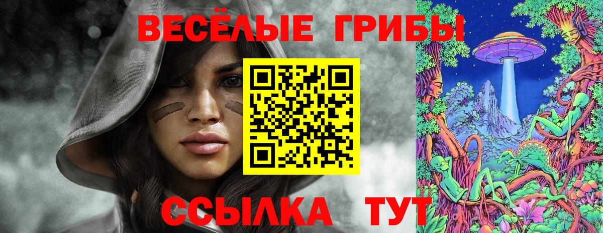 Псилоцибиновые грибы GOLDEN TEACHER  Вход с VPN  Пенза  Галлюциногенные грибы Psilocybe 