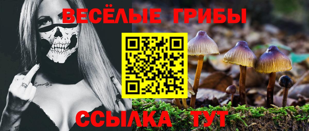Галлюциногенные грибы MAGIC MUSHROOMS Пенза